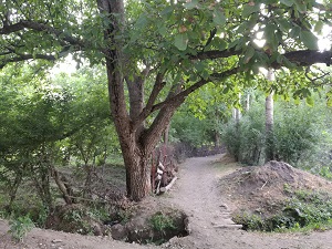 Alamut Nature Tours