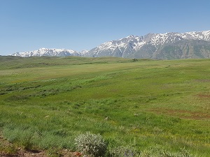 Alamut Off-Road Tours