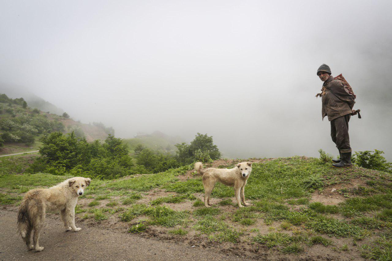 Alborz Mountains Hiking