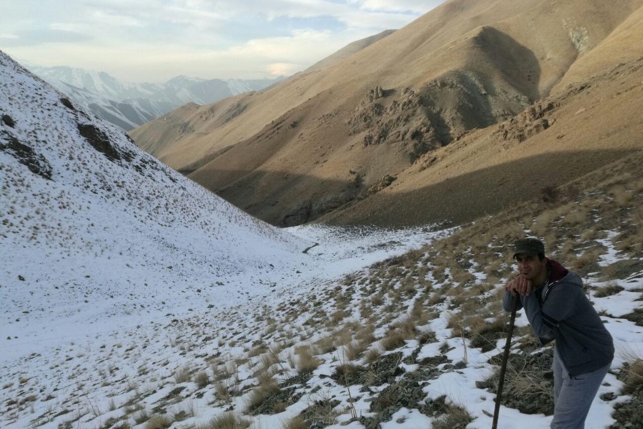 Alborz Mountains Hiking