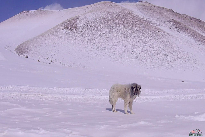 Alvares Ski Resort