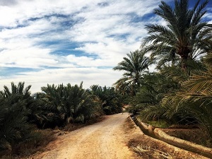 Iran Garmeh Village Tour