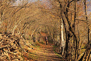 Gilan Trekking Tours