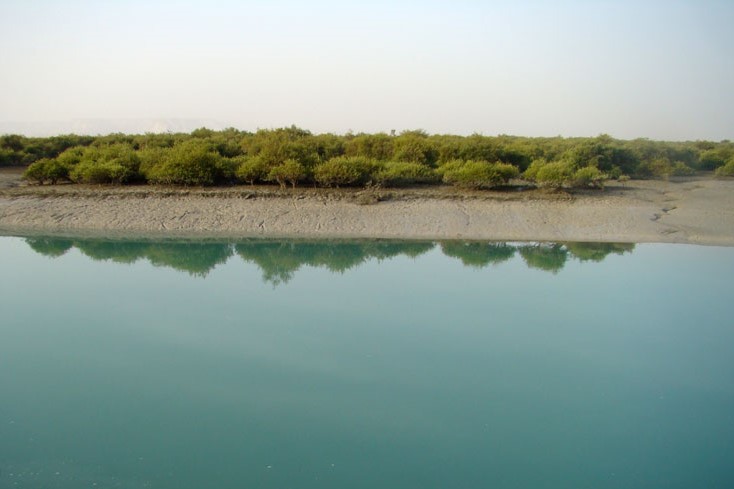 Hara Forest in Qeshm