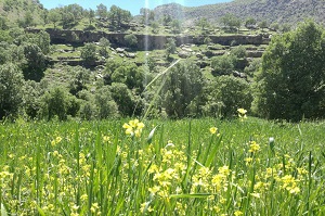 Iran off-road tours