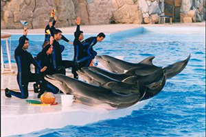 kiash island tour