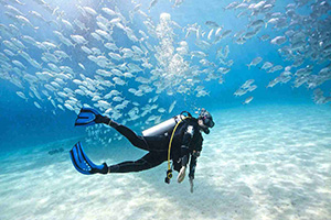 Kish Day Tours