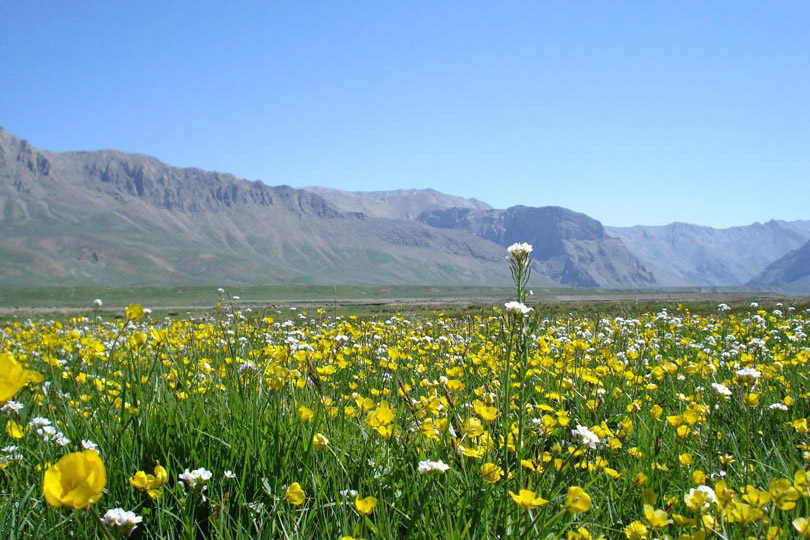 Lar National Park