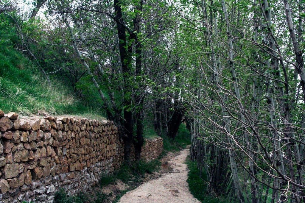 Qalat Village in Shiraz