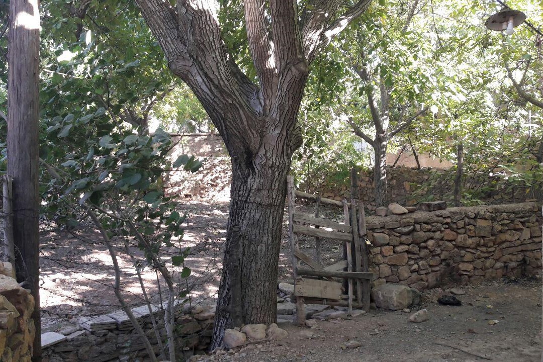 Qalat Village in Shiraz