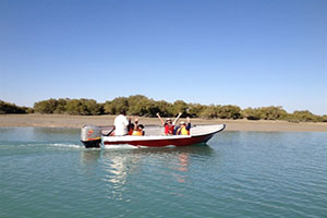Qeshm’s Hara Forest